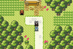 Guía de Pokémon Lazarus en Español